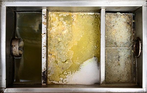 putting off regular grease interceptor cleaning can lead to plumbing concerns, foul odors, and health code offenses